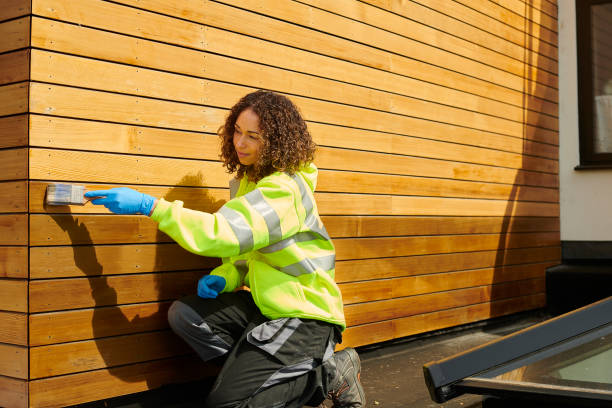 Best Insulated Siding Installation  in Edgemere, MD